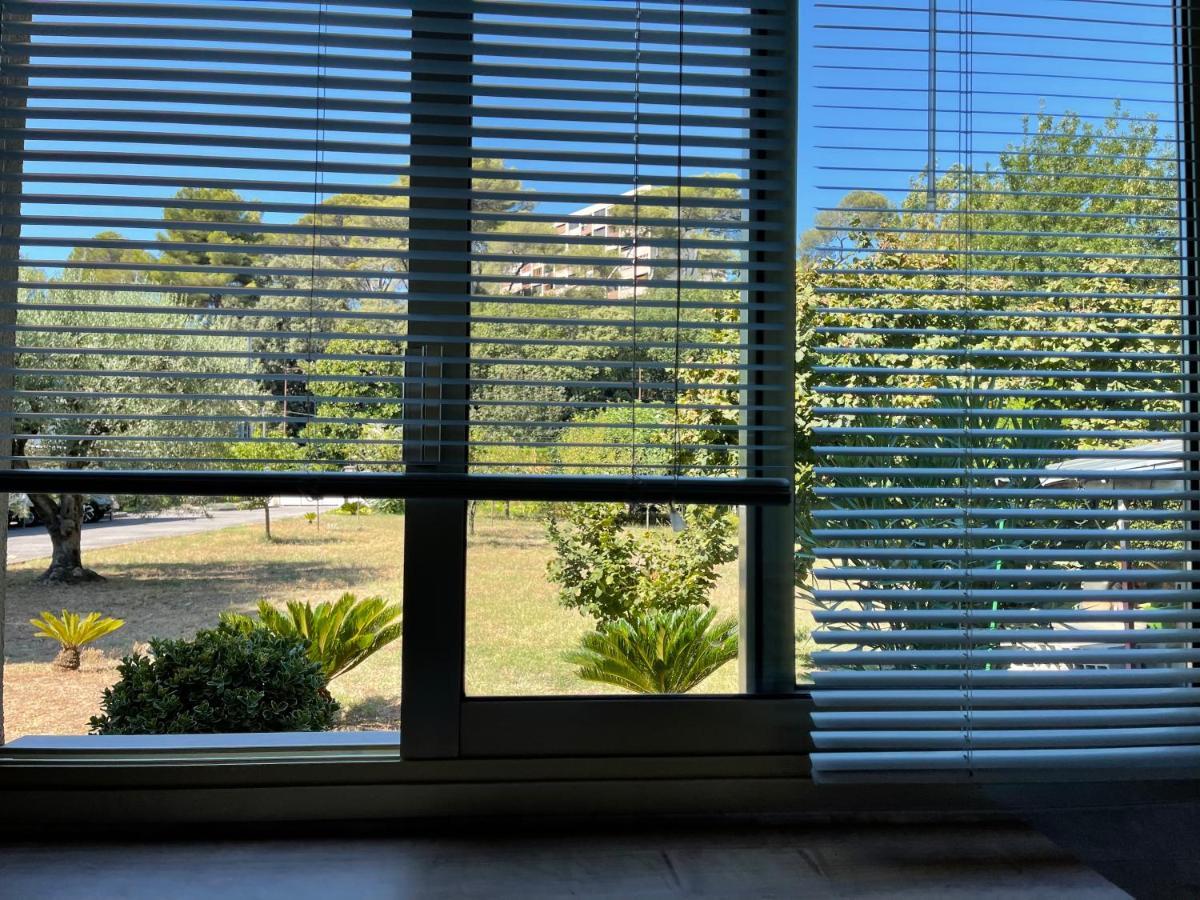 Studio Tout Confort Au Calme Avec Jardin Proche Cannes Le Cannet Exterior photo
